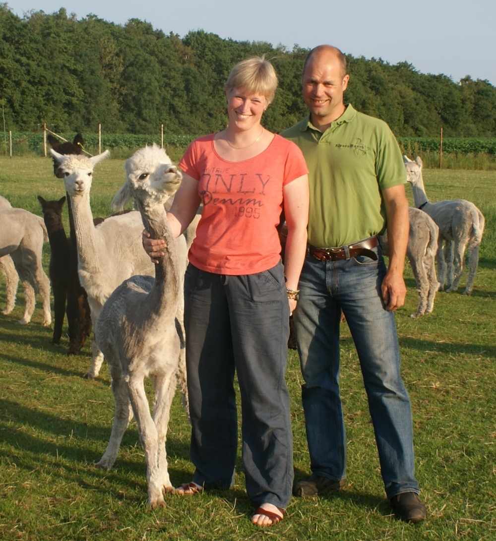 Advies van de Alpaca-Ranch