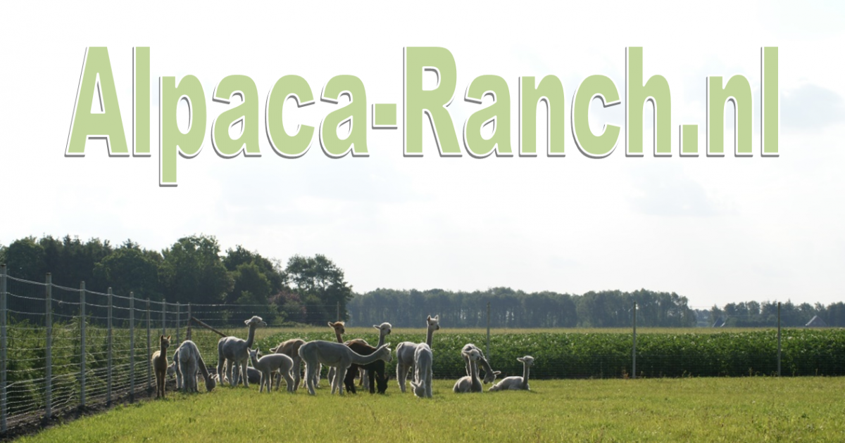(c) Alpaca-ranch.nl