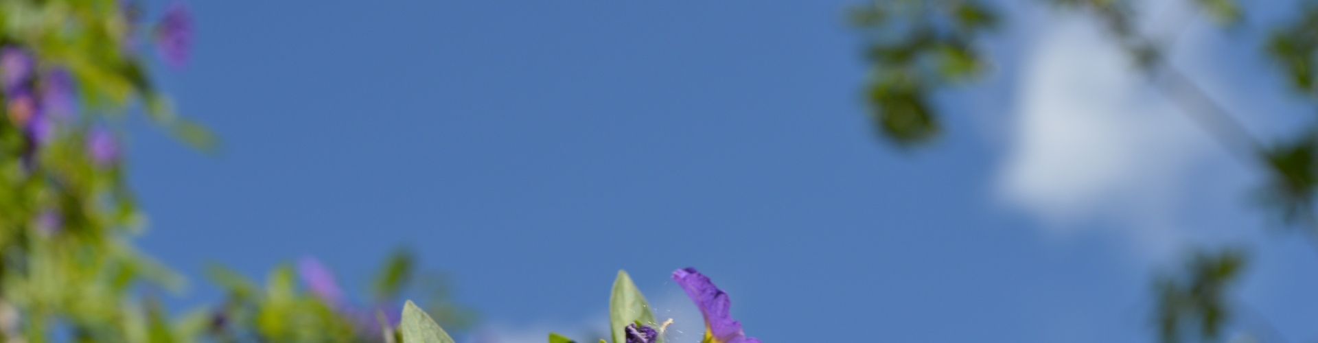 beauty ontspanning midden in de natuur #beauty #natuur #ontspanning #health