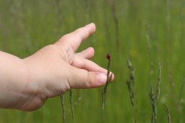 OKI-B Core Energetica therapie kind en ouders Utrecht OKI-B Core Energetica therapie kind en ouders Utrecht