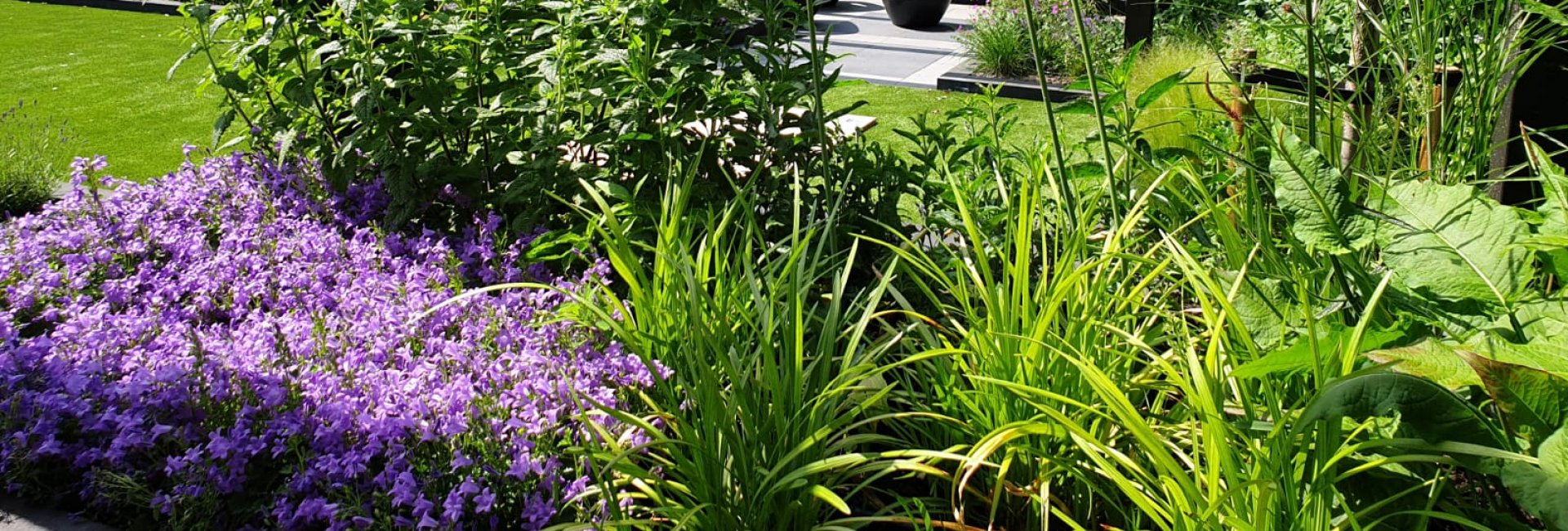 Inspiratie beplanting Inspiratie beplanting