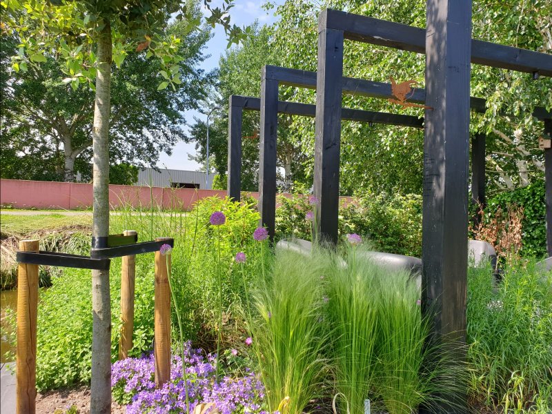Pergola en beplanting achtertuin Lisserbroek Pergola en beplanting achtertuin Lisserbroek