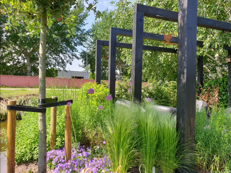 Pergola en beplanting achtertuin Lisserbroek