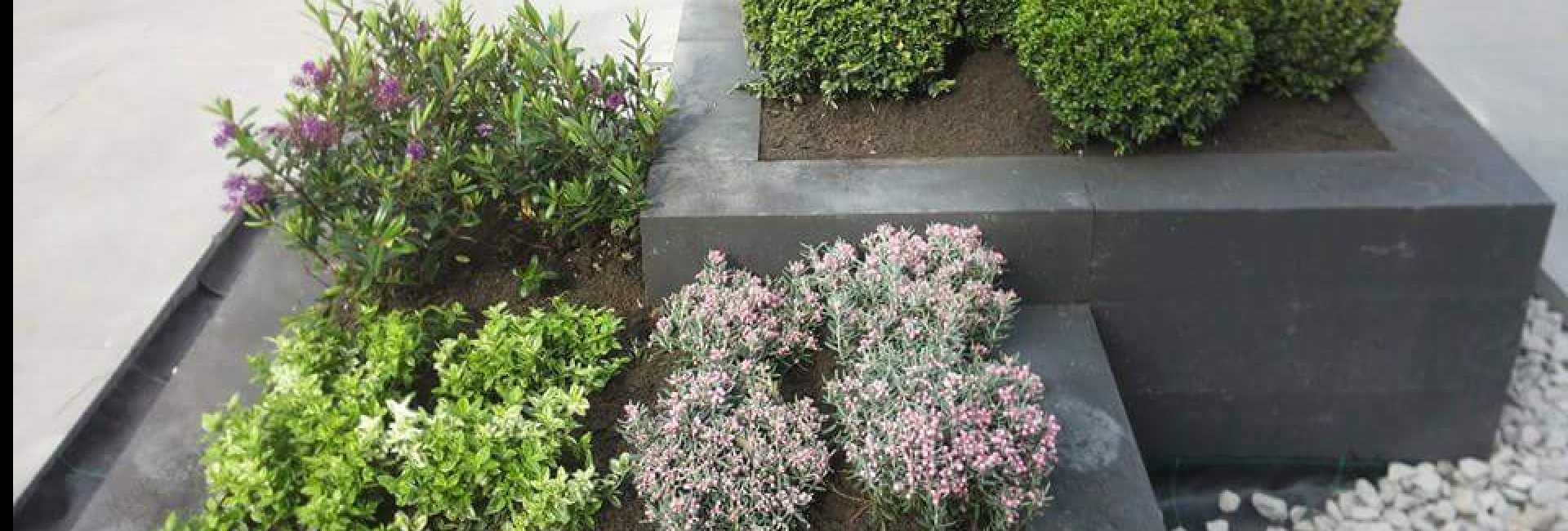 Beplantingsplan op maat Beplantingsplan op maat