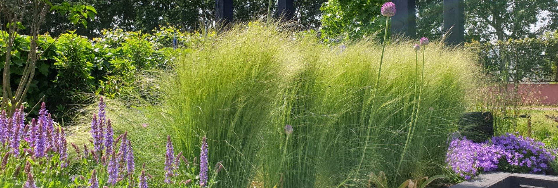 Aanplanten beplanting bedrijfstuin