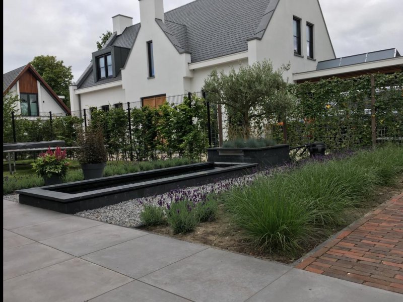 Beplantingsplan achtertuin Lisse Beplantingsplan achtertuin Lisse