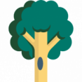 Aanplanten beplanting - beplantingsplan Aanplanten beplanting - beplantingsplan
