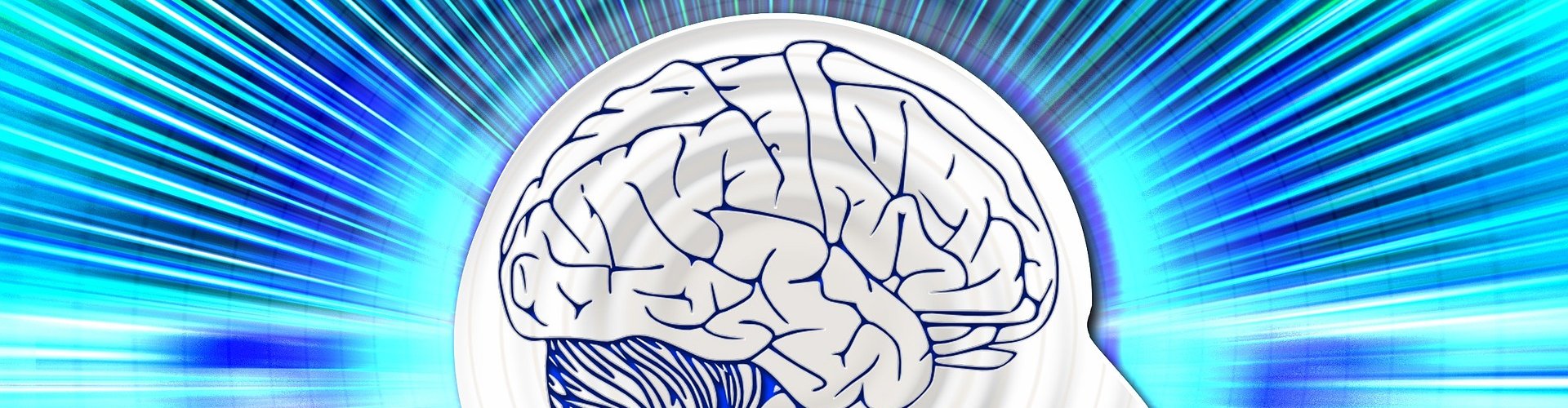 NLP training Brein-power Yvonne Thuijs Mindset of a winner