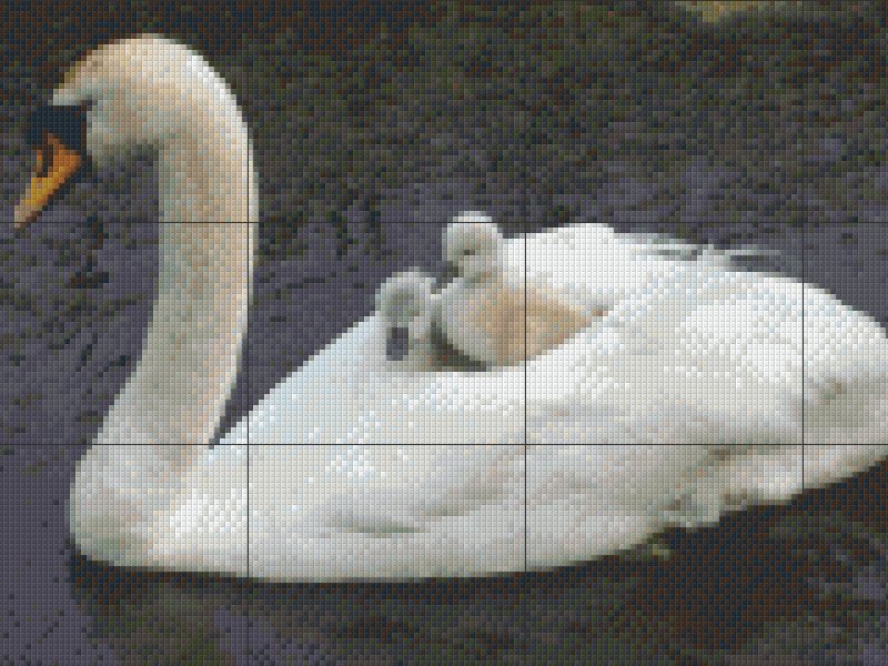 Pixelhobby patroon van zwaan met jongen