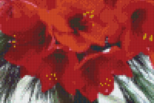 Pixelhobby patroon 16 basisplaten Amaryllis
