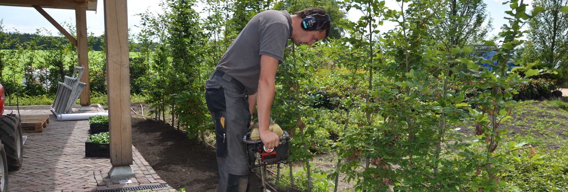 gratis tuin advies groen en planten voor in de tuin