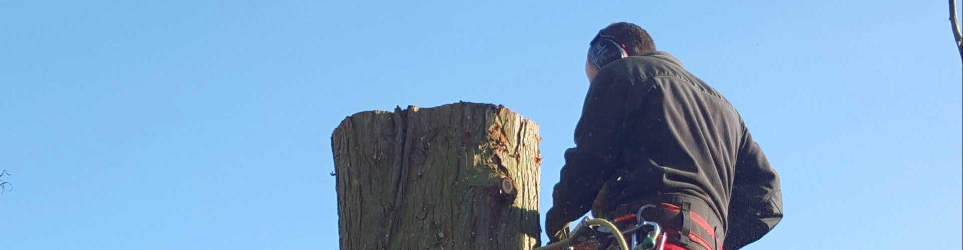 tuinonderhoud vakman vakman bezig met het onderhoud van een tuin