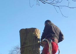 vakmannen hoveniers hovenier die een tuin aanlegt