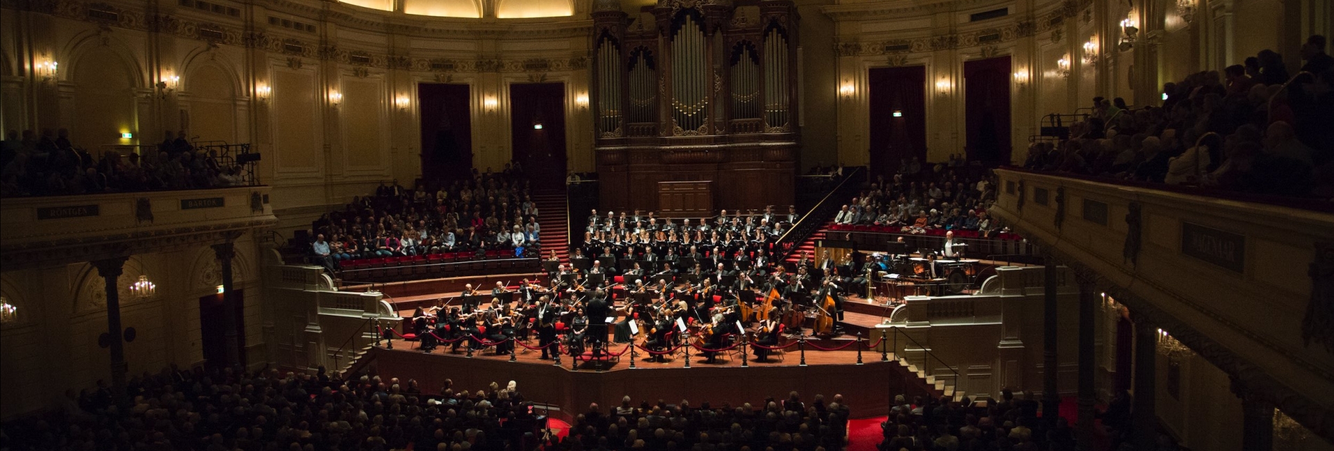 cadenza productions carmina burana benefitconcert eindhoven