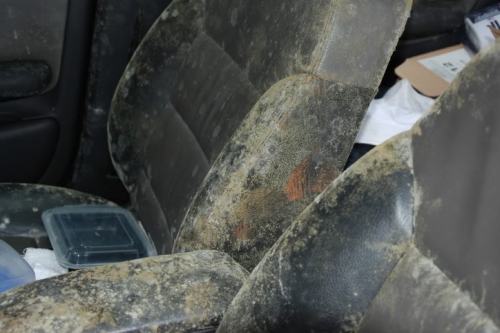 Schimmel in auto Schimmel in auto