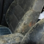 Schimmel in auto Schimmel in auto