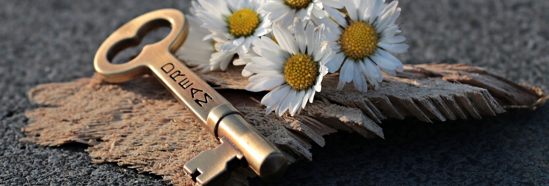 Kijk je het aan of ga je het aan? CEO fluisteraar Hans Pronk laat je worden wie je bent