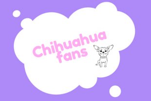 Chihuahuafans Chihuahuafans