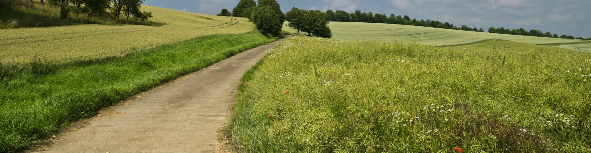 Heft in eigen handen Heft in eigen handen