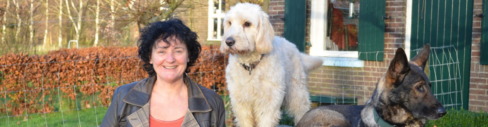 Dierentolkconsult Dierentolkconsult