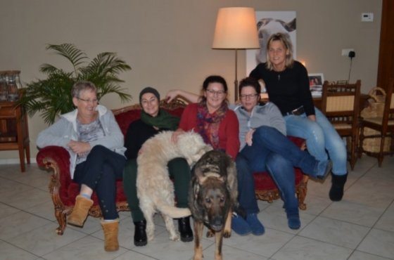 Communiceren met dieren Communiceren met dieren