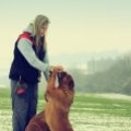 Consult Dierentolk Consult Dierentolk