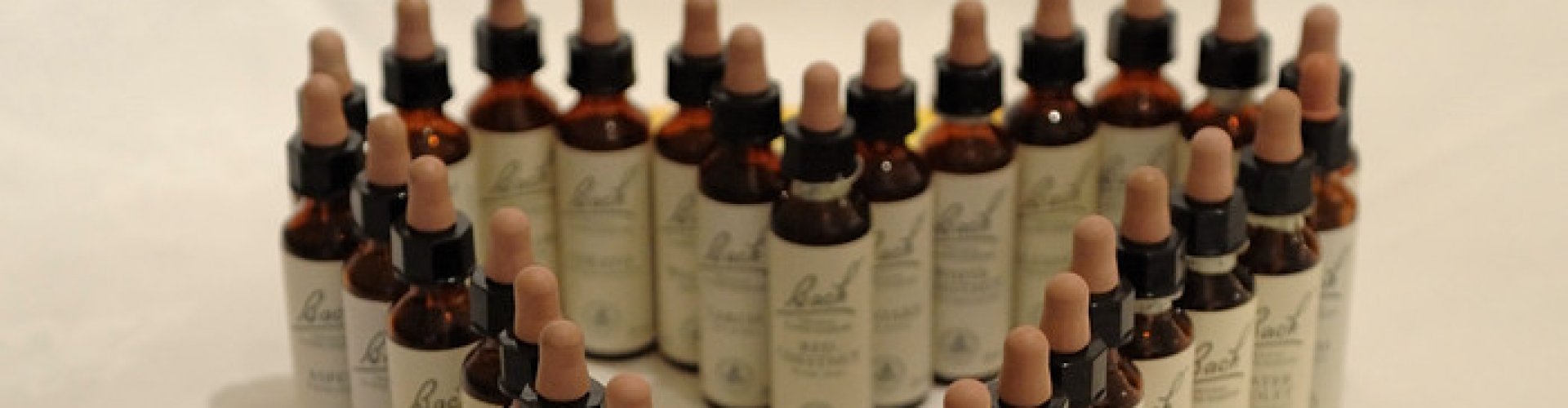 Bachbloesems voor dieren Bachbloesems voor dieren