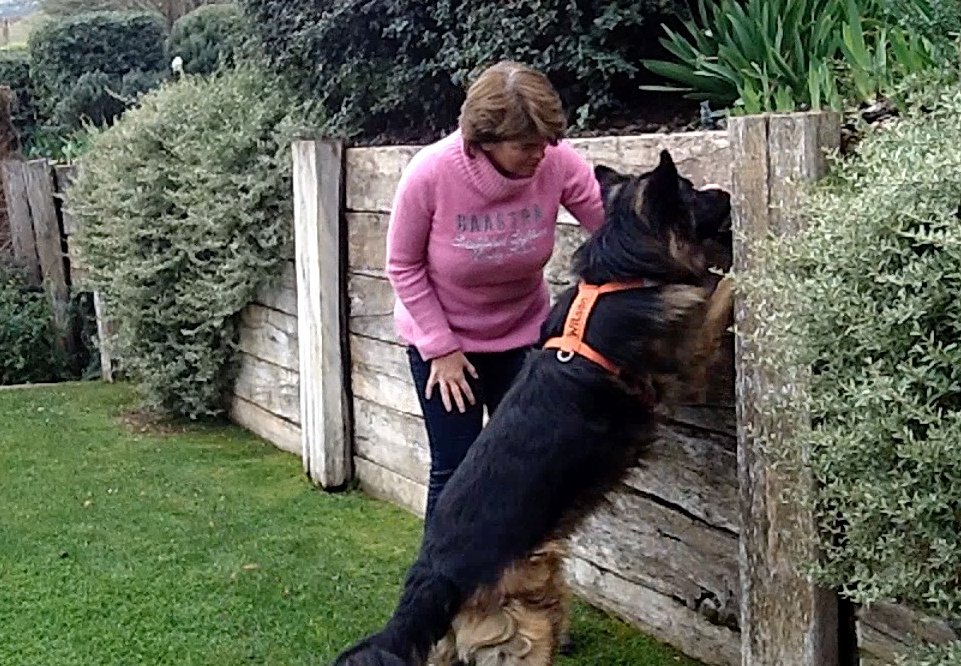 Detectiewerk in je eigen tuin Detectiewerk in je eigen tuin: gebruik aanwezige materialen