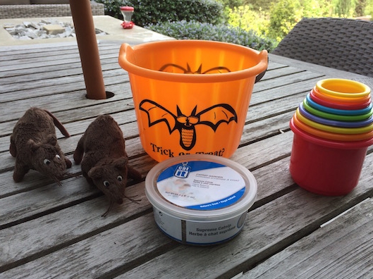 Nodig voor DigiDog Detectiewerk Boodschappenlijstje: wat heb je nodig voor DigiDog Detectiewerk