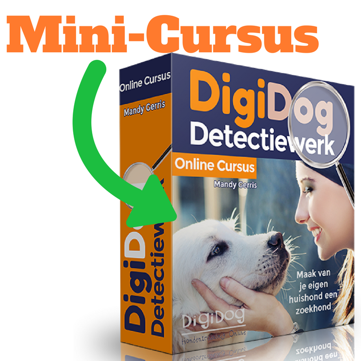 Mini-Cursus Detectiewerk Online in enkele stappen je hond leren speuren bij DigiDog