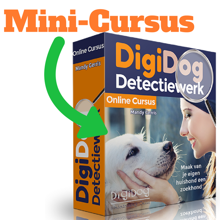 Mini-Cursus Detectiewerk DigiDog Mini-Cursus Detectiewerk Online in enkele stappen je hond leren speuren bij DigiDog