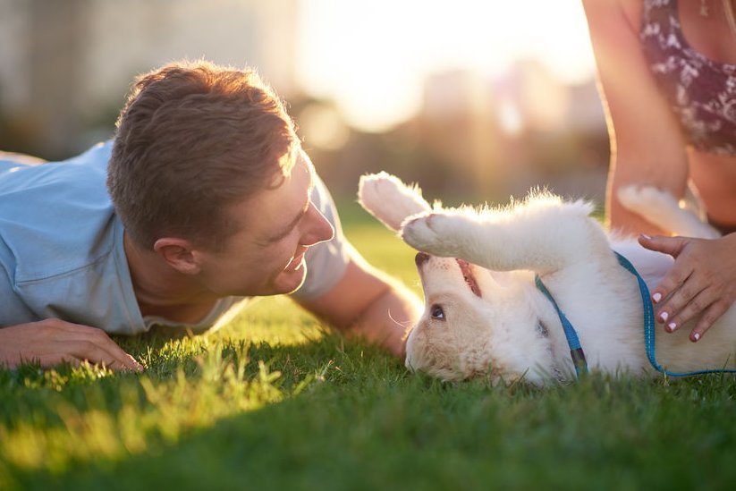 Gezonde Voeding voor je hond: Nieuw programma voor een Gezonde hond Gezonde voeding voor optimale gezondheid en vitaliteit van je hond: voorkom en genees van kwalen en ziekten door goede voeding