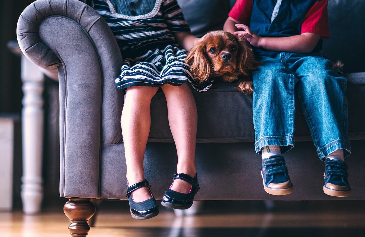 Kinderen spelen samen met de hond Kinderen spelen samen met de hond