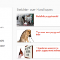 Puppy-blogartikelen over het zoeken en kopen van een goede pup