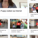 Puppy-video pagina met Digipup video's over zoeken naar een pup en veel trainings video's