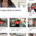 Puppy-video pagina DigiPup Puppy-video pagina met Digipup video's over zoeken naar een pup en veel trainings video's