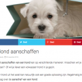 Hond aanschaffen - belangrijke informatie Aanschaf van een hond vraagt om goede voorbereiding: lees hier belangrijke informatie