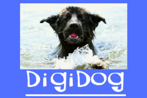 DigiDog online Cursus Detectiewerk met je hond
