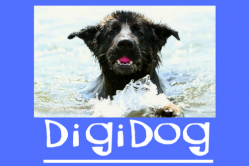 DigiDog hondenschool Online DigiDog online Cursus Detectiewerk met je hond