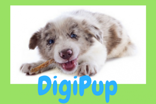 DigiPup: alles over je Puppy DigiPup: hoe zit het met Puppy's