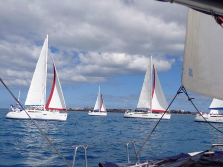 heineken regatta wedstrijdzeilen