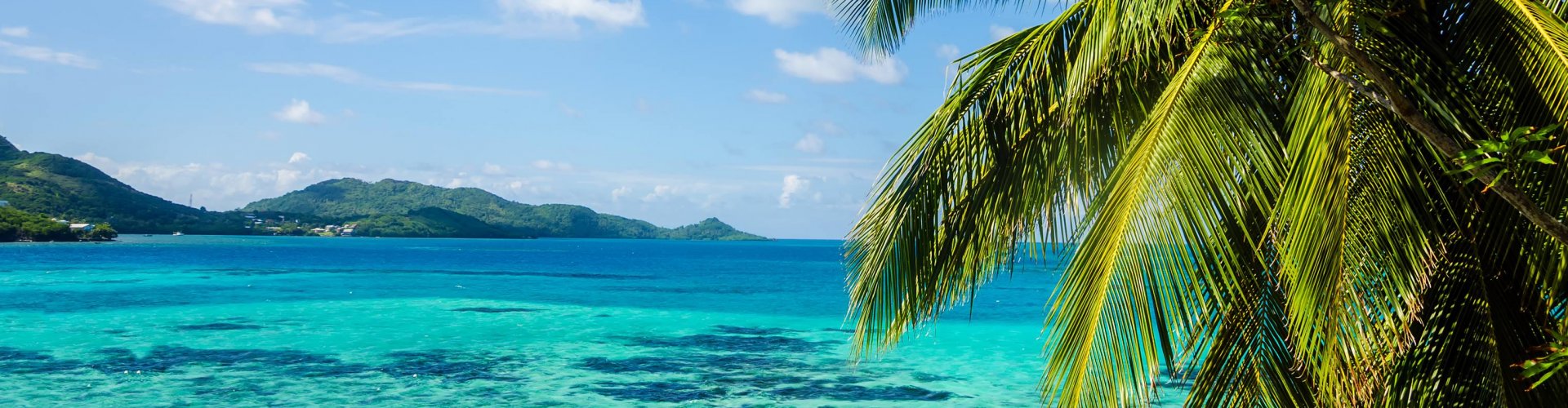 Zeilvakantie Martinique & Guadeloupe baai martinique