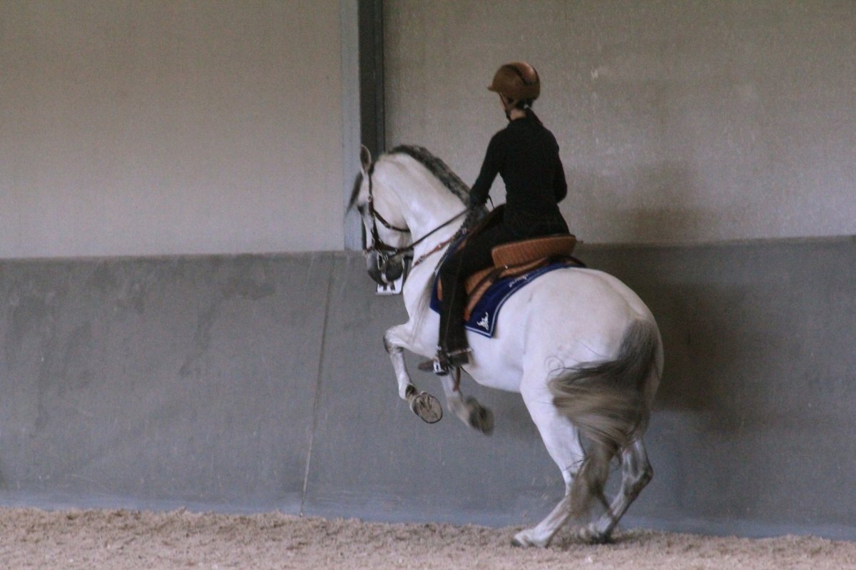 Terre à Terre Terre à Terre