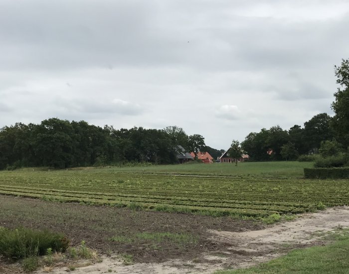 Detail Nien deur Knooperf de Veldboer Knooperf de Veldboer te Langeveen