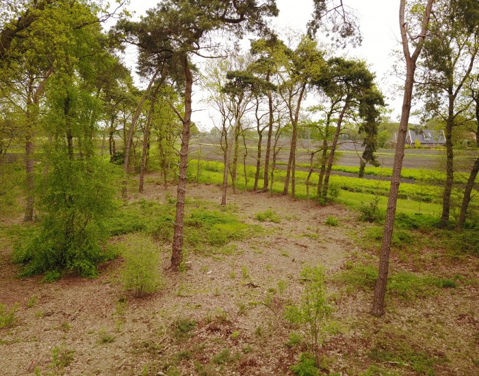Boskavel 11 Knooperf de Veldboer te Langeveen www.erf-goed.nl