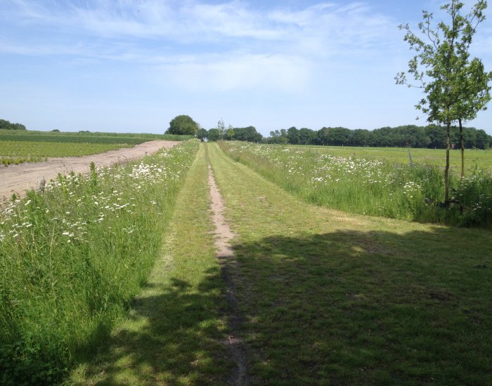 Uitzicht vanaf pad Knooperf de Veldboer www.erf-goed.nl