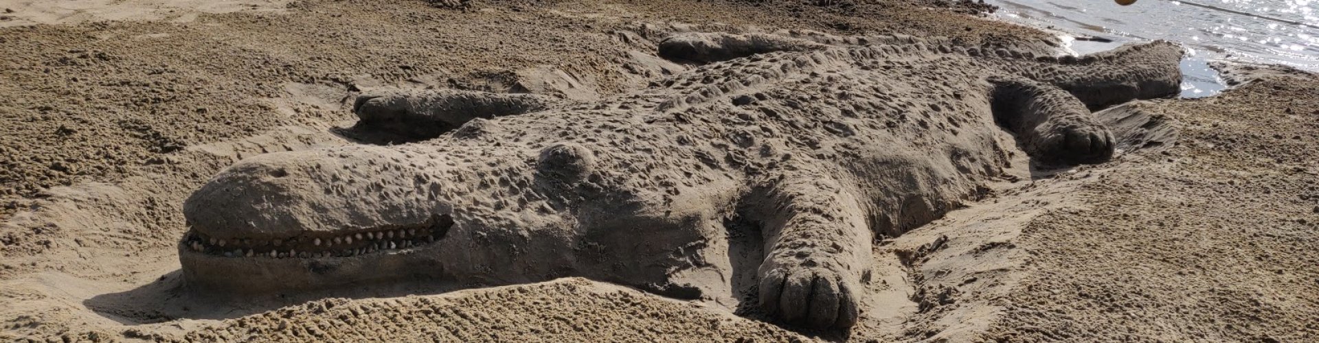 Zandkastelen bouwen Zandkasteel bouwen met je bedrijfsuitje