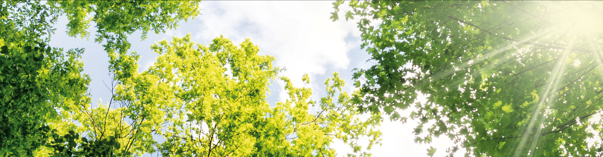 Sfeerbeeld sfeerbeeld