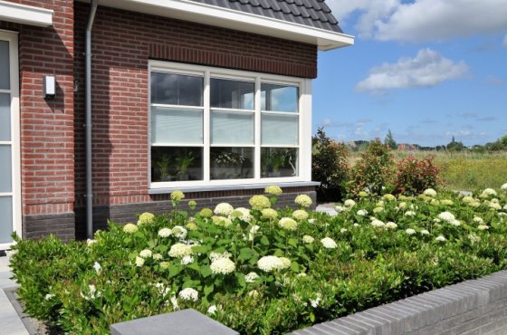 Voortuin met hortensia's Voortuin met hortensia's