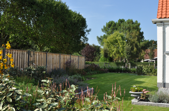 Onderhoudsvrije beplanting Onderhoudsvrije beplanting